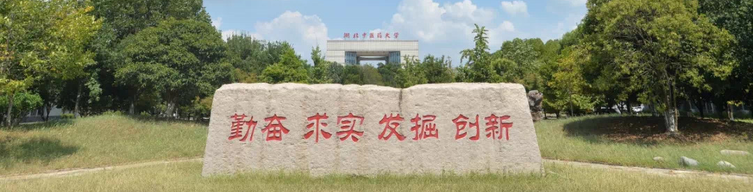 湖北中医药大学